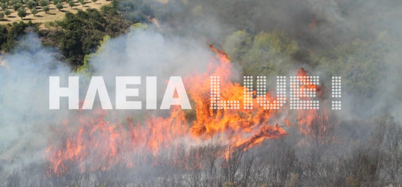 Υπό έλεγχο η πυρκαγιά στην Ηλεία - Χωρίς ενεργό μέτωπο η φωτιά στην Ζάκυνθο - Media