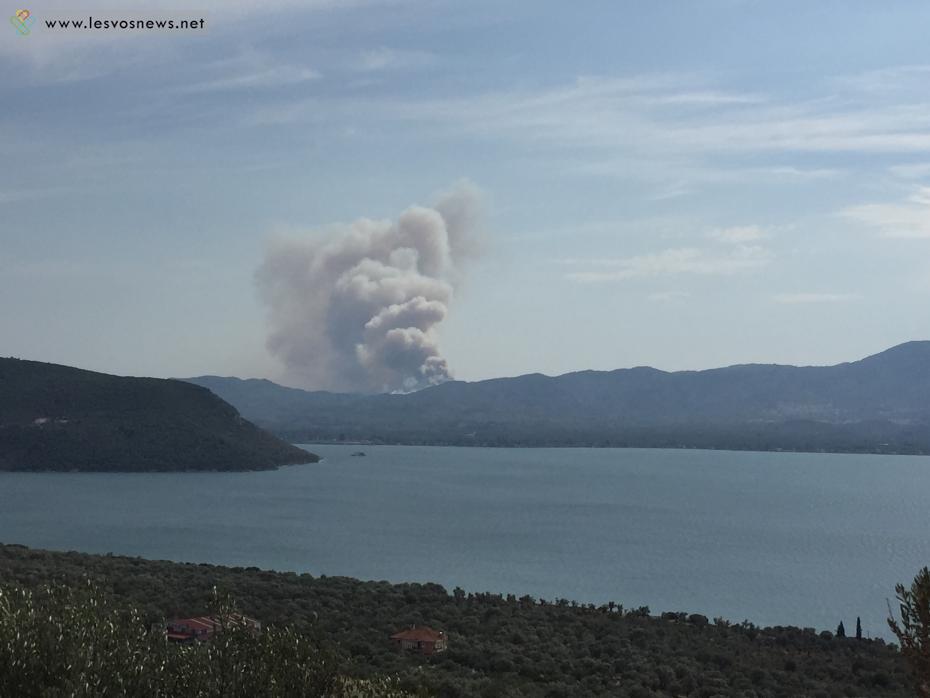 Σε εμπρησμό οφείλεται η μεγάλη δασική πυρκαγιά στη Μυτιλήνη - Ενισχύσεις από Αθήνα τις πρωινές ώρες - Media