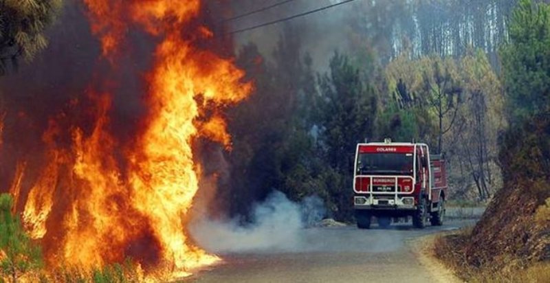 Ιταλία: Εθελοντές πυροσβέστες έβαζαν φωτιές για να εισπράττουν τις αποζημιώσεις - Media