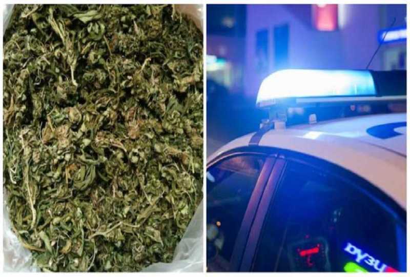 Τρίκαλα: Συνελήφθη 27χρονος με 25 κιλά κάνναβη - Media