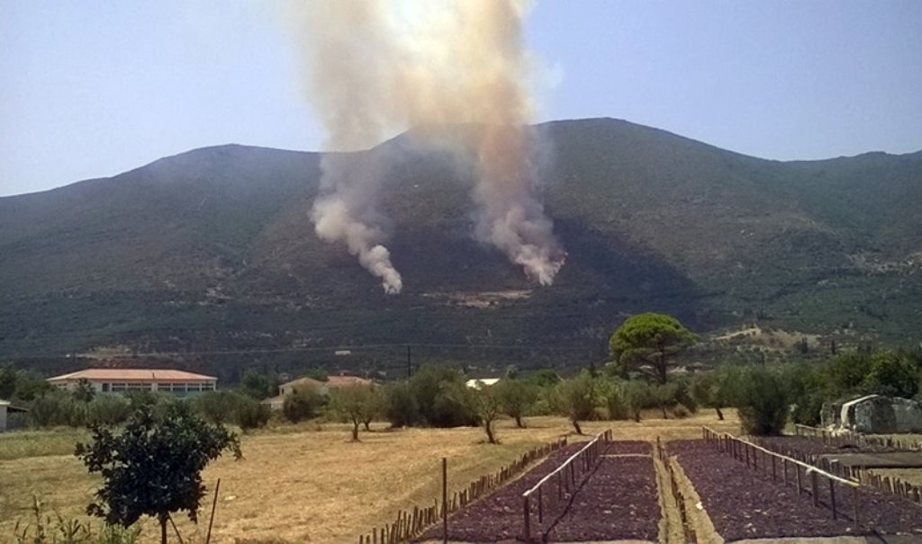 Δύο μέτωπα πυρκαγιάς στη Ζάκυνθο (Photo) - Media