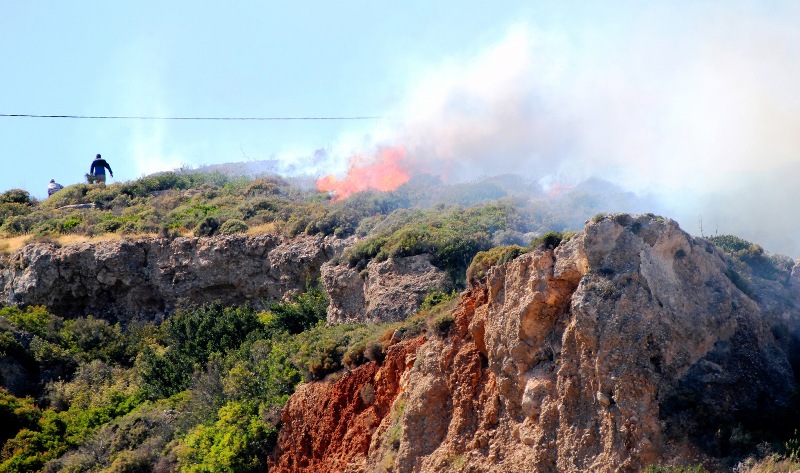 Μεγάλη κομπίνα: Κρητικοί κτηνοτρόφοι δήλωναν κτήματα στα Κύθηρα για να «τσεπώνουν» επιδοτήσεις - Media