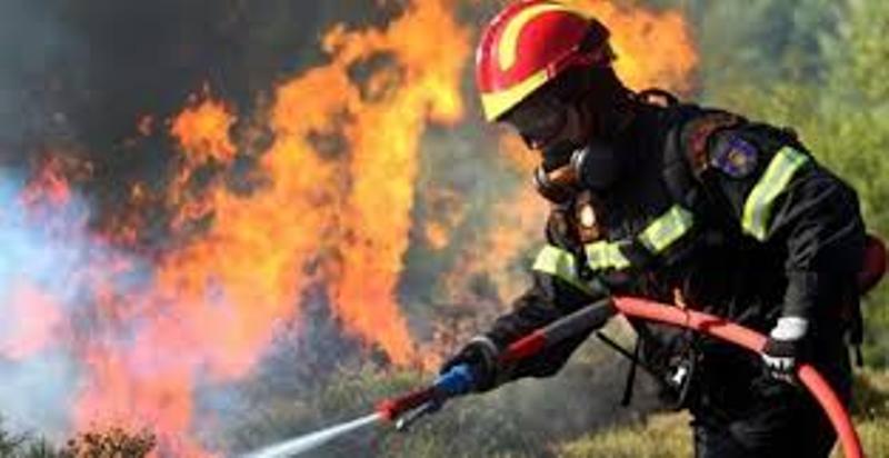 67 πυρκαγιές εκδηλώθηκαν το τελευταίο 24ωρο - Πέντε σχεδόν ταυτόχρονα στην Κεφαλονιά - Media