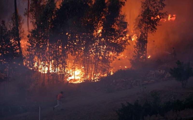 Πάνω από 90 συλλήψεις υπόπτων για εμπρησμό στην Πορτογαλία - Media