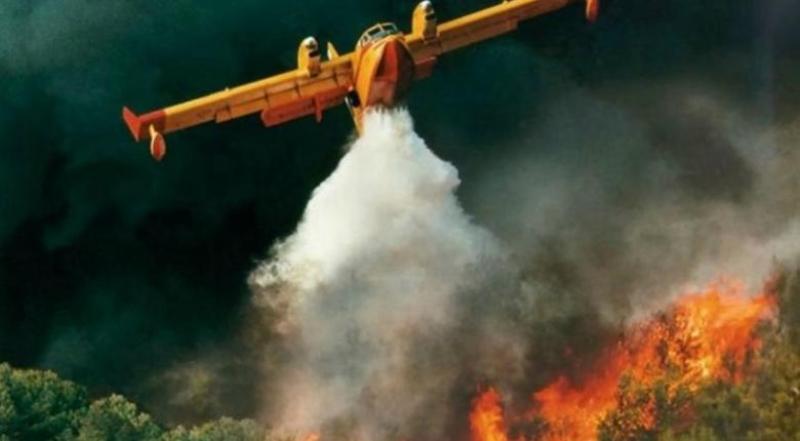 Συναγερμός στην Πυροσβεστική - Πυρκαγιές σε Κεφαλονιά, Ζάκυνθο και Μεσσηνία  - Media