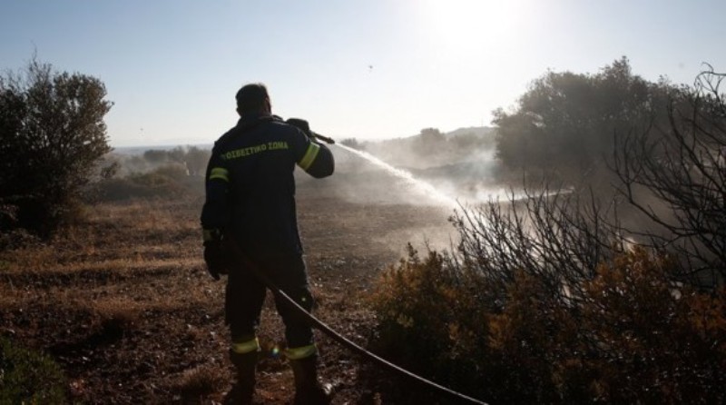 Υπό μερικό έλεγχο όλες οι δασικές πυρκαγιές - Media