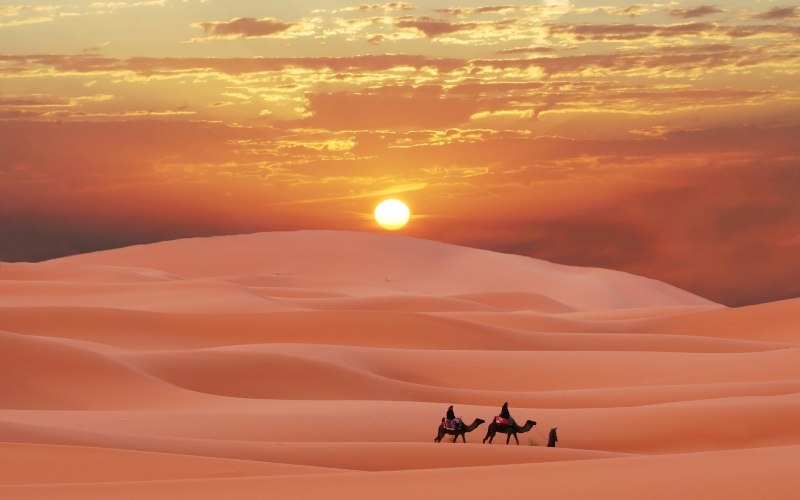 Ο ήλιος στη Σαχάρα μπορεί να ηλεκτροδοτήσει 5.000.000 νοικοκυριά στην Ευρώπη  - Media