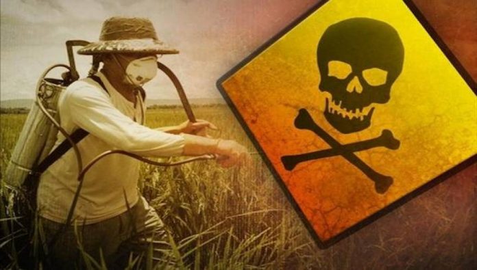 Κατασχέθηκαν 700 κιλά παράνομα φυτοφάρμακα - Media