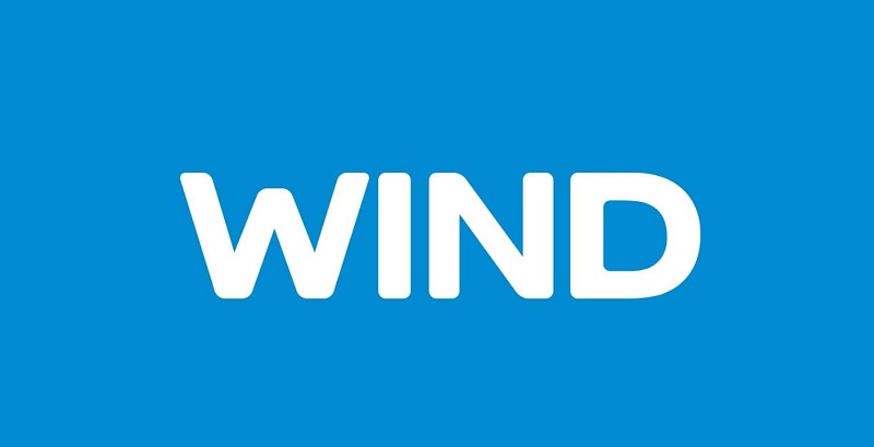 Ολοήμερο φεστιβάλ για όλους τους εργαζόμενους της WIND - Media