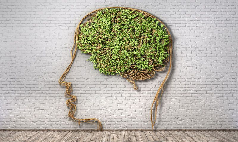 Θέλετε «κοφτερό» μυαλό μέχρι τα γεράματα; Ακολουθήστε τις 7 συμβουλές των ειδικών - Media