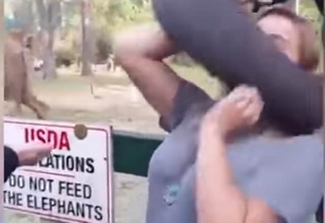 Πήγε να βγάλει selfie με τον ελέφαντα και της βγήκε…ξινό! (Video) - Media