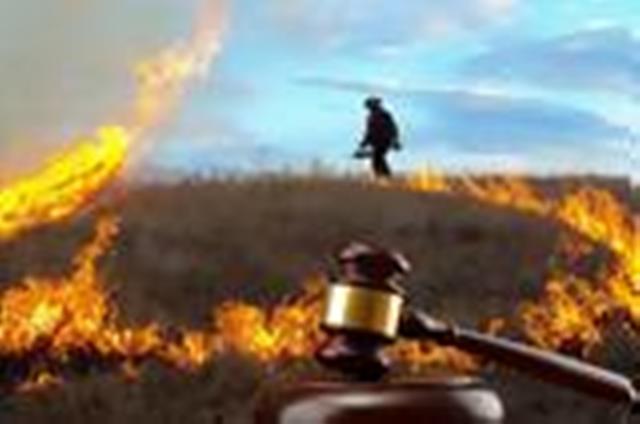 Δασοπυροσβέστης στη Σάμο καταδικάστηκε για πρόκληση πυρκαγιάς σε δάσος - Media