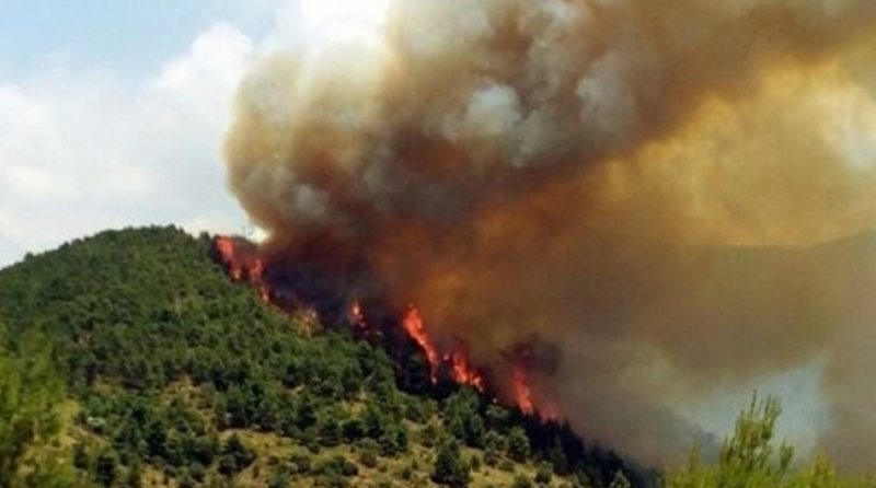Πυρκαγιά ξέσπασε στην Καλαμάτα - Media