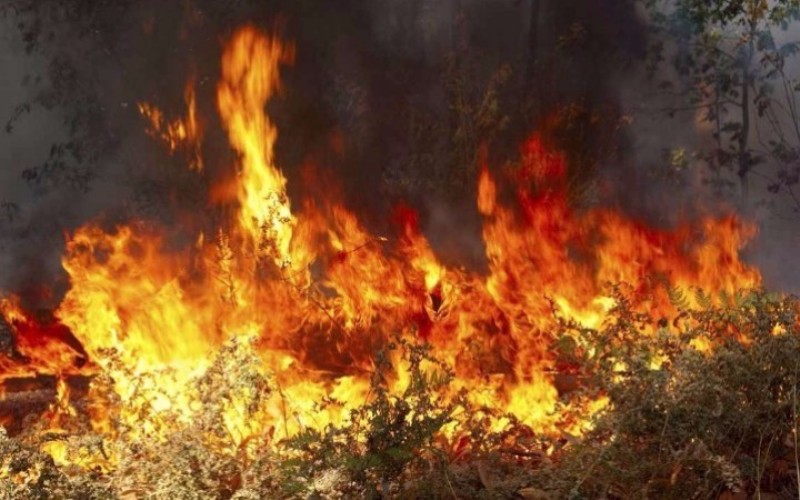 Πυρκαγιά ξέσπασε στα Καλάβρυτα - Media