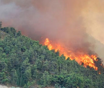 Πυρκαγιά σε εξέλιξη στο Αγκίστρι -Καίγεται πευκοδάσος - Media