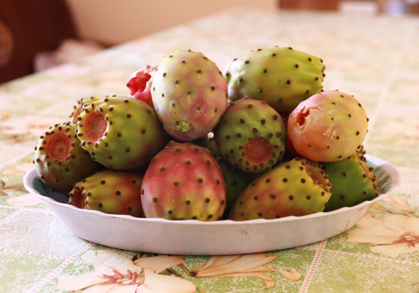 Τα τσούζετε; Τα φραγκόσυκα καταπολεμούν αποτελεσματικά τη μέθη - Media