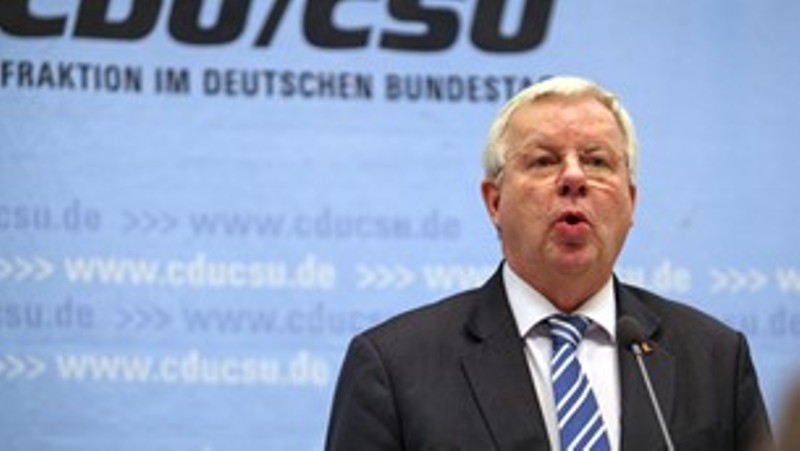 Ο Φουκς «χαϊδεύει» τα αυτιά των ψηφοφόρων του AfD: Δεν είναι όλοι ναζιστές - Media