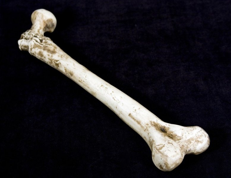 Φρίκη: Ζευγάρι κατηγορείται για κανιβαλισμό - Σκότωσαν και έφαγαν 30 ανθρώπους (Photo, Video, σκληρές εικόνες) - Media