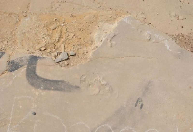 Καθηγητής λυκείου ο κλέφτης των απολιθωμάτων στην Κρήτη (Photos) - Media