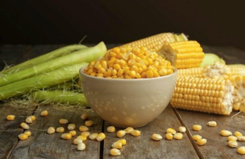 «Όταν εμείς χτίζαμε Παρθενώνες, εσείς τρώγατε βελανίδια» - Ποιος υπουργός είπε την περίφημη ατάκα!  - Media