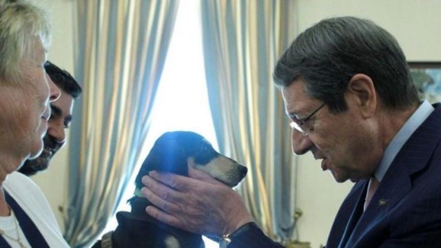 Αδέσποτο σκυλάκι υιοθέτησε ο Πρόεδρος της Κύπρου (photos +video ) - Media