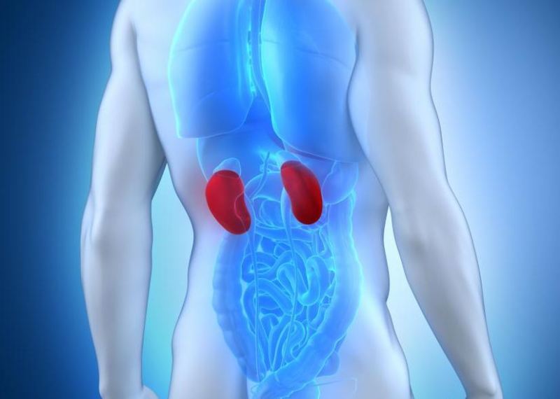 Προσοχή: Νεφρική ανεπάρκεια - Αυτά είναι τα επικίνδυνα σημάδια - Media