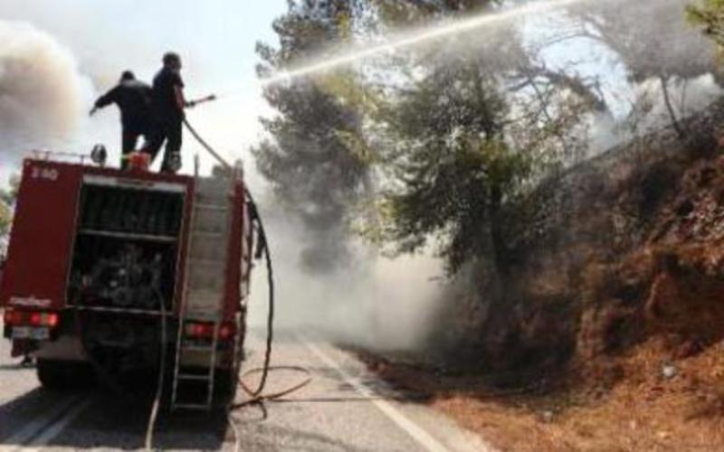 Δασική πυρκαγιά στην Κοκκινιά Τροιζηνίας  - Media