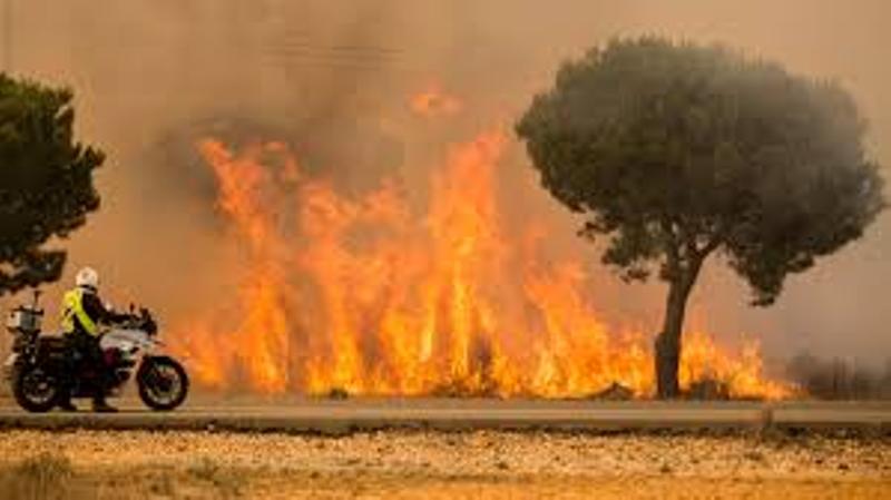 Ισπανία: Κόλαση πυρκαγιάς στην Ανδαλουσία – Εκκενώθηκε περιοχή  - Media