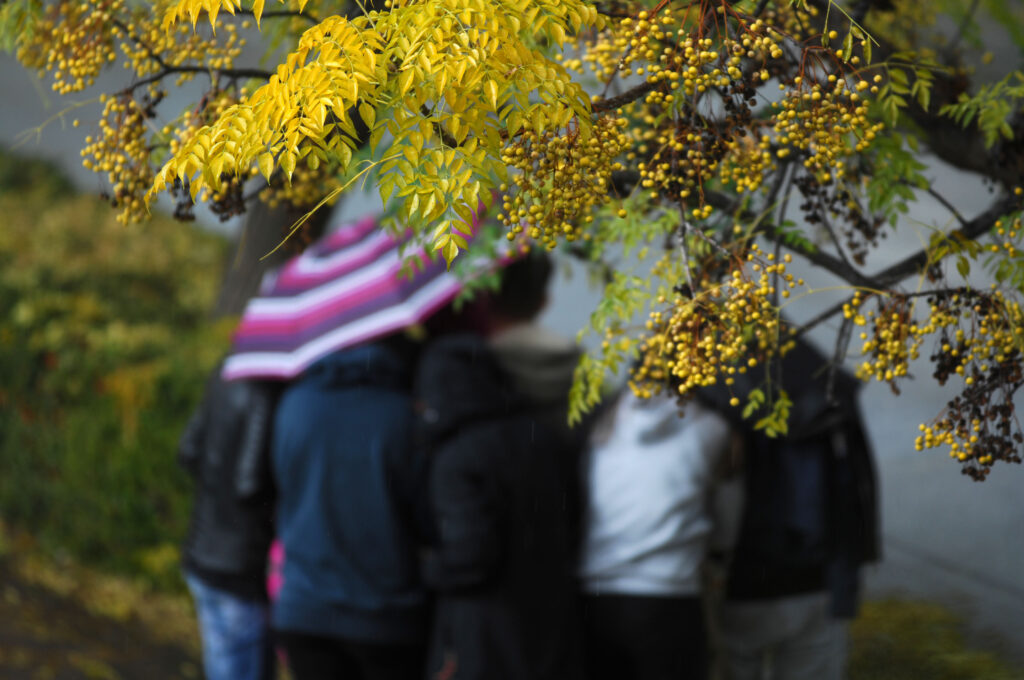 Καλοκαιρία τέλος: Έρχονται βροχές και καταιγίδες τη Δευτέρα - Media