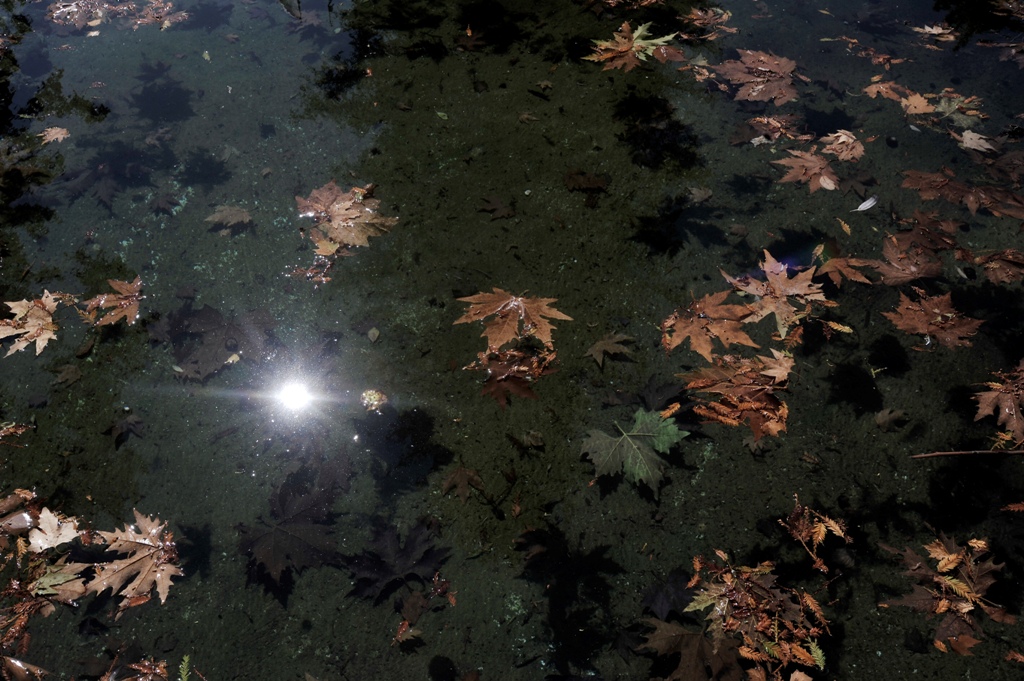 Καλός ο καιρός… - Media