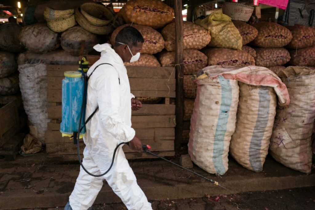 Μαδαγασκάρη: Επιδημία πανώλης με 94 νεκρούς και περισσότερα από 1.100 κρούσματα - Media