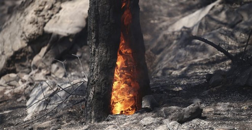 Προστασία από τις πυρκαγιές: Θερμικές κάμερες πυρανίχνευσης σε Βάρη, Βούλα και Βουλιαγμένη - Media