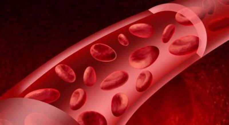 Φραγμένες αρτηρίες: Αυτές είναι οι 12 απαγορευμένες τροφές  - Media