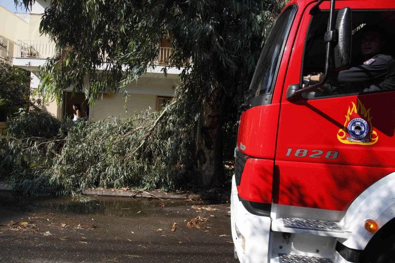 Καλαμαριά: Δέντρο καταπλάκωσε και τραυμάτισε άνδρα  - Media