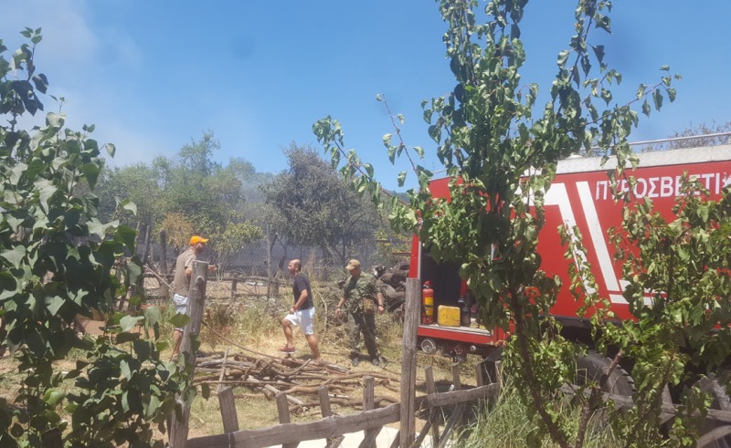 Φωτιά σε ποιμνιοστάσιο - Έχουν καεί ζώα - Media