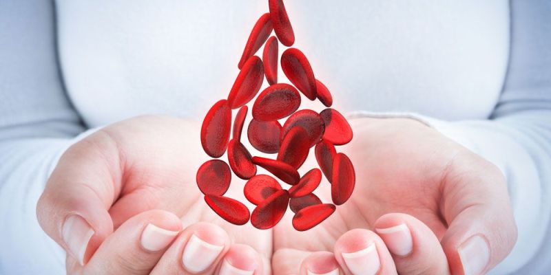 Καλή χοληστερίνη: Πώς μπορούμε να την αυξήσουμε - Media