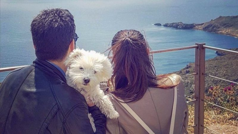 Ζευγάρι στη ζωή, ζευγάρι και στην τηλεόραση: Ξεκινούν εκπομπή στον Alpha! - Media