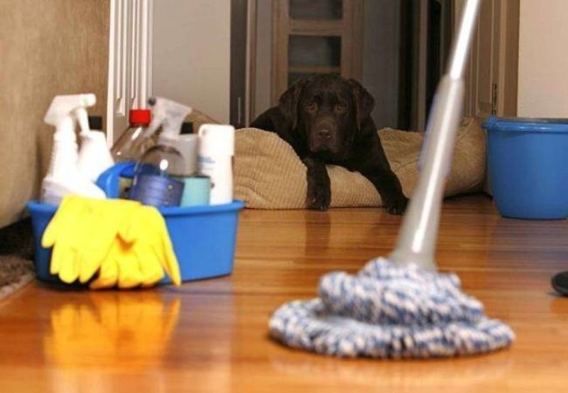 Ποια είναι τα 5 σημεία του σπιτιού με τα περισσότερα μικρόβια - Media