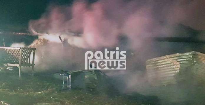 Στάνη κάηκε ολοσχερώς στον Πύργο - Πολλά ζώα νεκρά (Photo) - Media