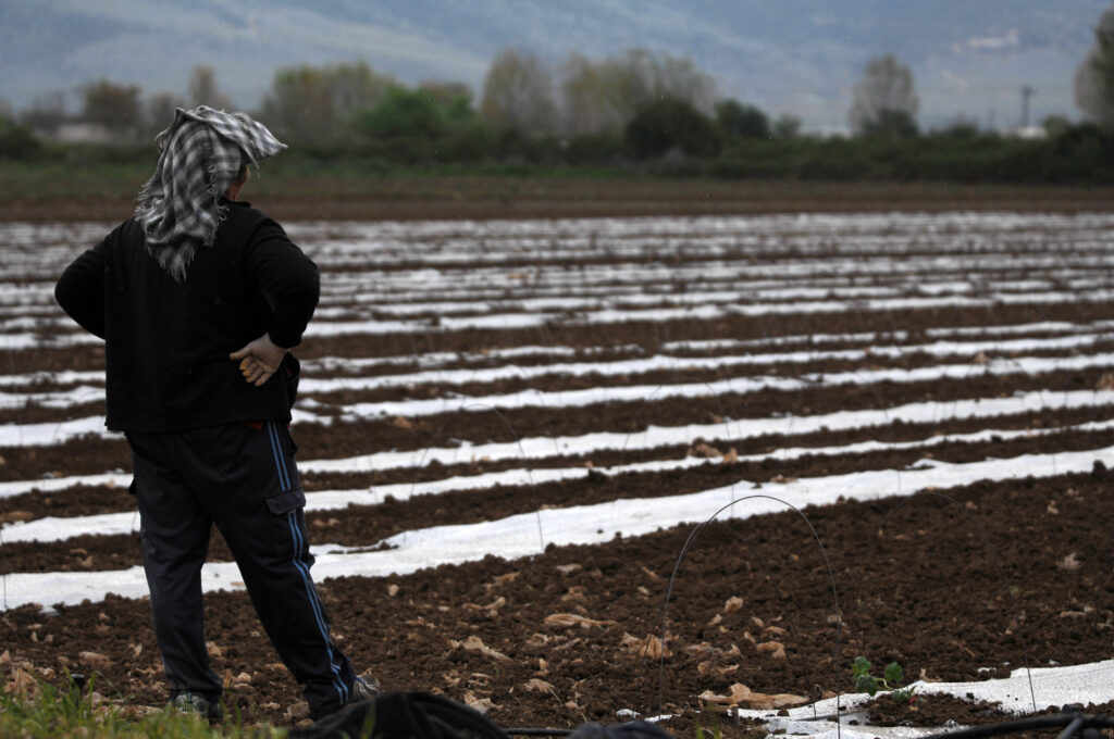 Κούρεμα – ανάσα κατά 90% σε αγρότισσα στην Πάτρα - Media