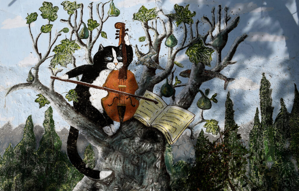 Η άλλη όψη των Εξαρχείων: Ένας γάτος παίζει βιολοντσέλο (Photo) - Media
