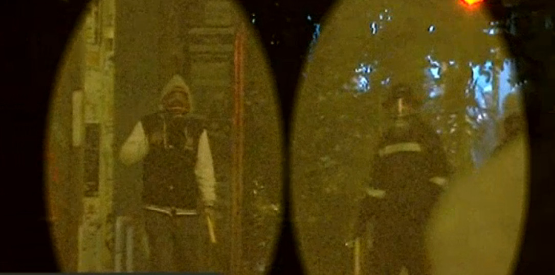 Ηλεία: Δεν πίστευαν στα μάτια τους οι ψαράδες – Βγήκαν για συναγρίδες και έπιασαν …αγριογούρουνα (Video) - Media