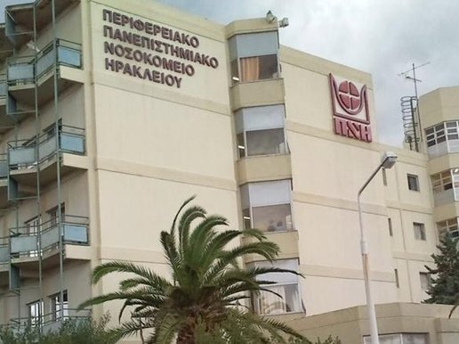 Κρήτη: Έχασε τη μάχη για την ζωή μετά από τσίμπημα σφήκας - Media