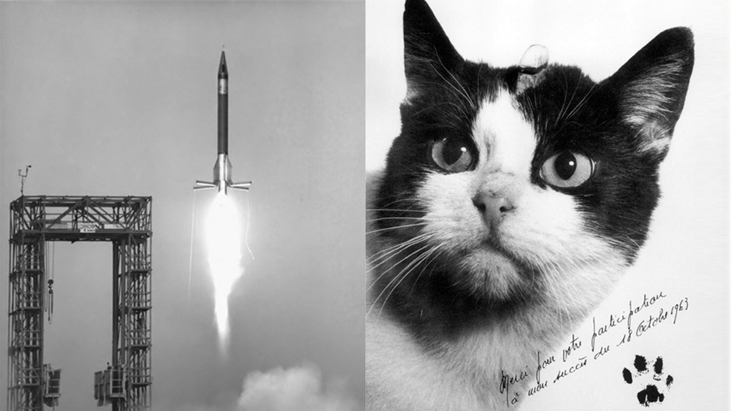 Παρίσι: Μνημείο για τη «Φελισέτ» την μοναδική γάτα που ταξίδεψε στο διάστημα - Media