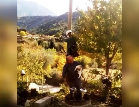 Η επεισοδιακή διάσωση γάτας από κολόνα και η περιγραφή για πολύ γέλιο (Video) - Media