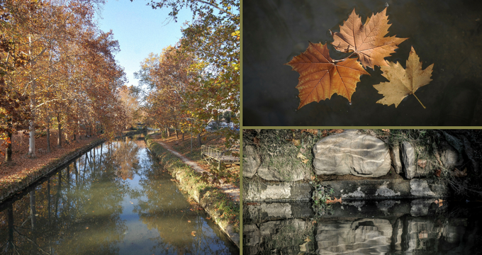 Εντυπωσιακές φθινοπωρινές εικόνες από το Ληθαίο ποταμό - Media