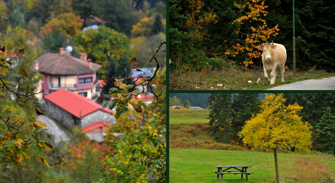 Νεραϊδοχώρι Τρικάλων: Ένα χωριό βγαλμένο από παραμύθι (Εντυπωσιακές Photo) - Media
