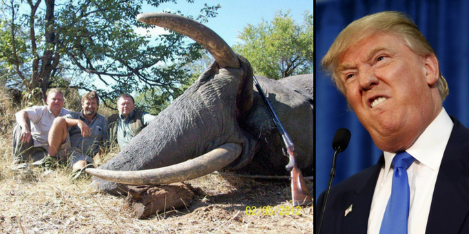 Το τερμάτισε ο Τραμπ:  Μετά τις αντιδράσεις ανέστειλε την εισαγωγή «τροπαίων» ελεφάντων που θηρεύονται στην Αφρική - Media