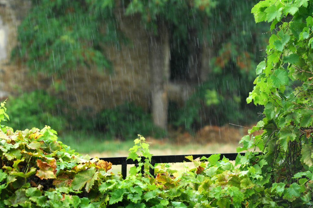 Καιρός: Συννεφιά και βροχές - Media