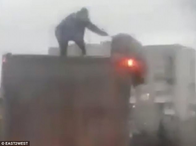 Τολμηρή απόδραση …γουρουνιού λίγα μέτρα πριν το σφαγείο – Το απίστευτο άλμα (Video) - Media